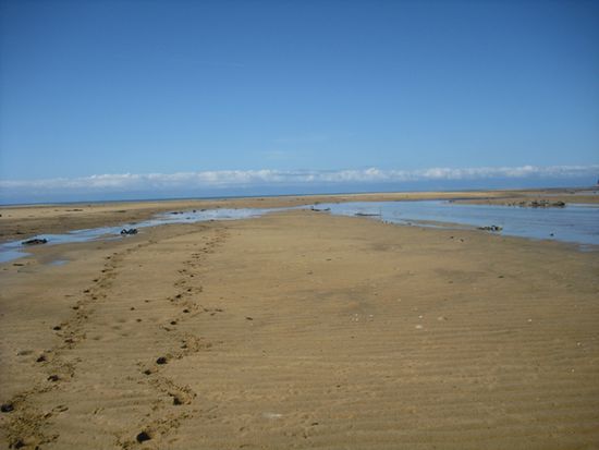 Strandspaziergang Abel Tasman NP