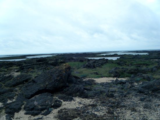 Lavaflow ueber 2000 Jahre alt