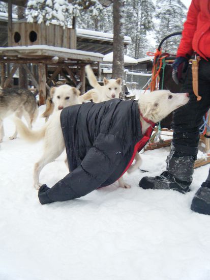 Camilla wurde von Karen extra nett angezogen