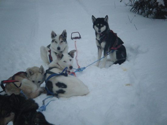 Sneakbreak  Inuit, Whisper, Utha, Zar und ein halber Kalle