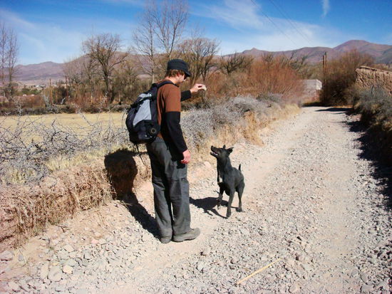 Wieder so ein treuer Begleiter