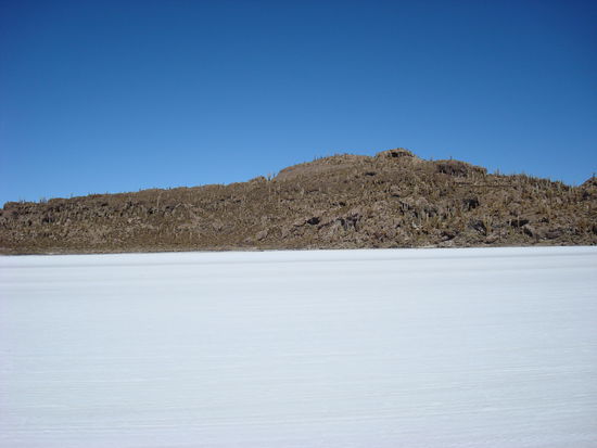 eine Insel Mitten in der Salzwueste