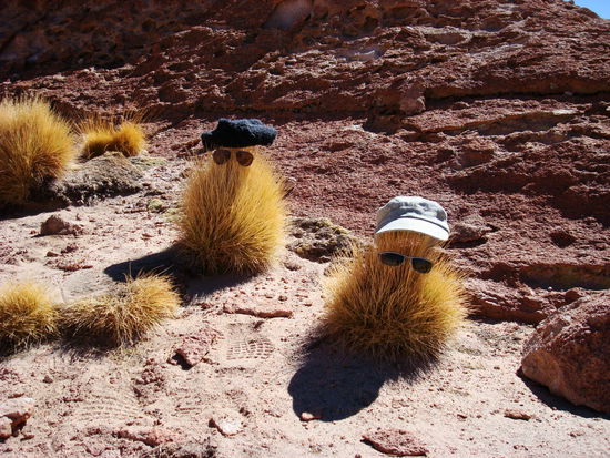 Beat und Karin in der Wueste