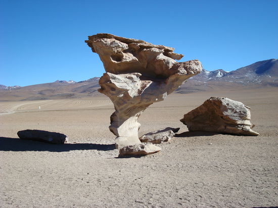 arbol de piedra