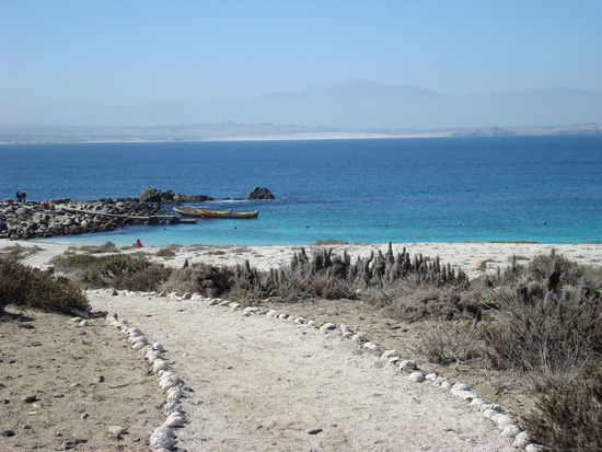 Isla Damas mit einem Traumstrand (leider zu kalt)