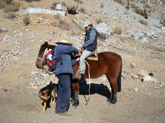 meine ersten Reitversuche