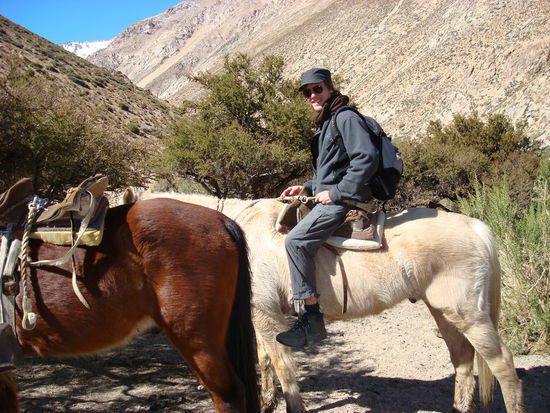 Beats erste Reitversuche