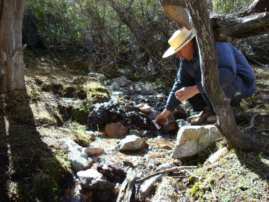 frisches Quellwasser (Viktor, unser Fuehrer)