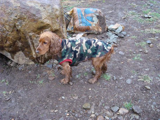 Caspar musste den Regenmantel anziehen, 5 min spaeter ist er samt dem Mantel im See baden gegangen 