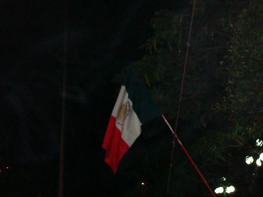 überall Mexico Fahnen