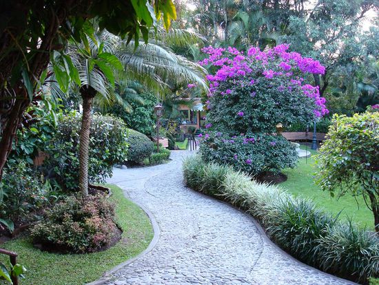 die Gärten der Universidad