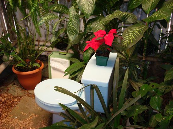 das in die Natur eingebaute WC