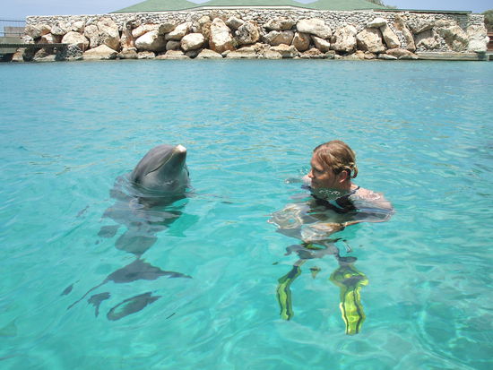 Gee Gee und ich lernen uns kennen