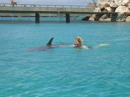 erst mit etwas Abstand und dann ganz nahe....