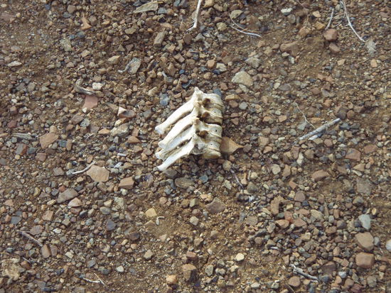 ... jetzt wird es komisch...