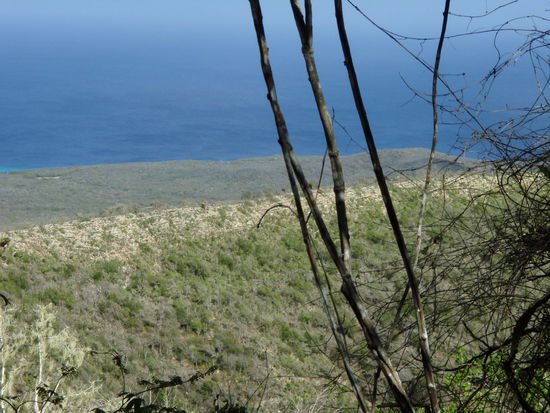 ... da wäre ich jetzt viel lieber...