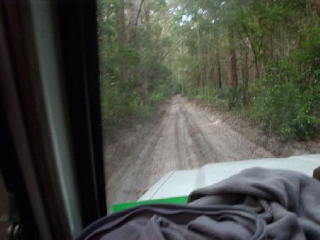 fraser island dschungel und 4WD!!!