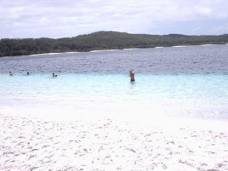 lake mckenzie auf fraser!unglaublich das wasser!