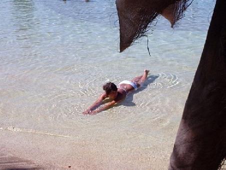 die badenixe in der airlie lagoon!