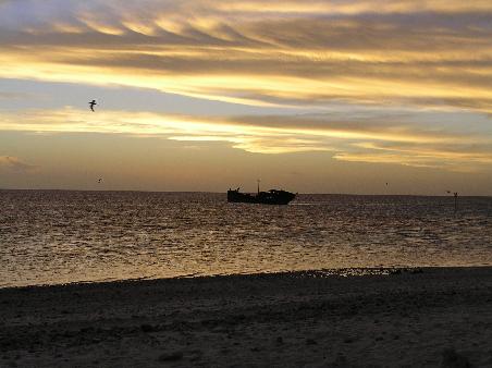 von shark bay aus!