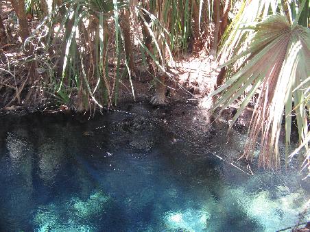 Mataranka Hot Springs!