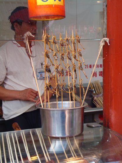 China hat kulinarisch vieles zu bieten.....