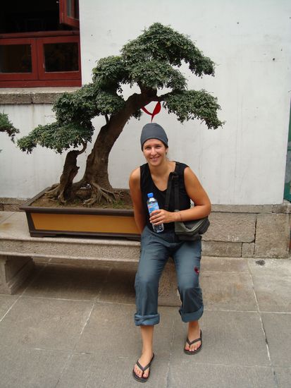 kleine Dane vor grossem Bonsai ( so sollte ein Bonsai aussehen Faethu!! zum Glueck bist du nicht Gaertner dort...)