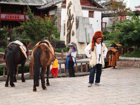 Wo ist der chinesische Waschbaer?