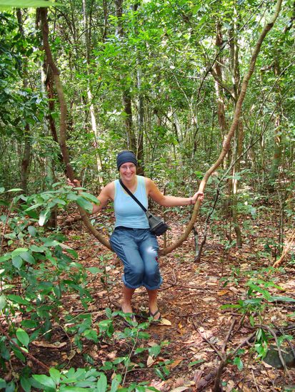 Dane auf der Dschungel-Schaukel