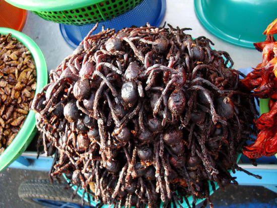 Fast waren wir nicht mehr in den Palast gekommen, weil wir noch leckere Taranteln kosten mussten....