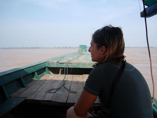 Dane auf Delphin- Suche