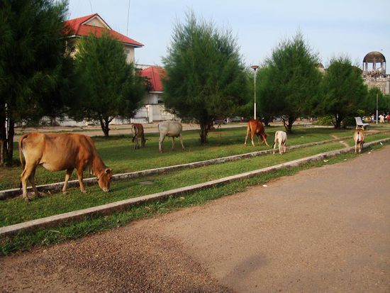 Nichts los in Kratie