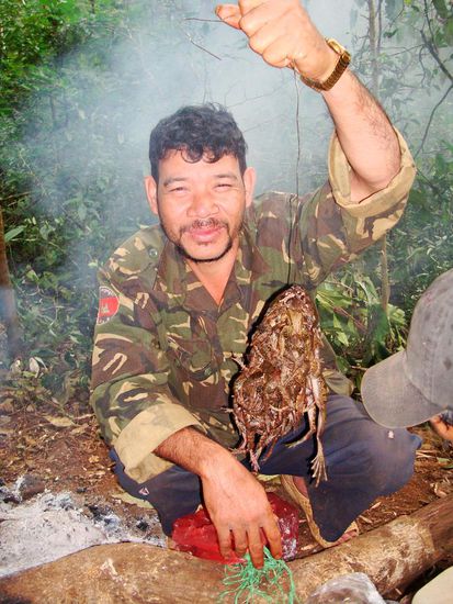 mmmhhh lecker Froeschli am Draht (der Rest lebte auch am naechsten Tag noch und wurde mit nach Hause transportiert...)