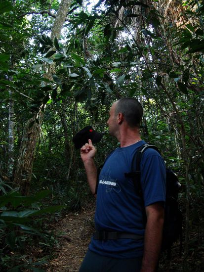 Da hat sich eine komische Pflanze Marco Chaeppi beim durchlaufen gekrallt.