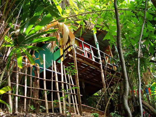 Unser Bungalow mitten im Dschungel, genial