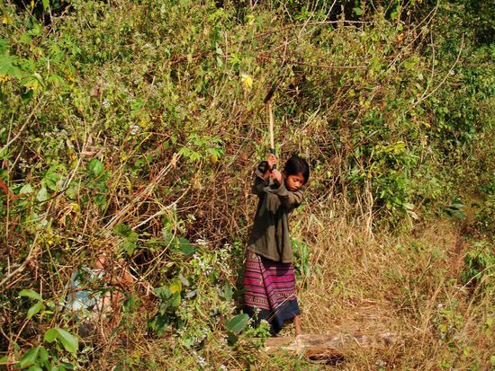 Dieses kleine Maedchen ist schon fleissig am Holzhacken!