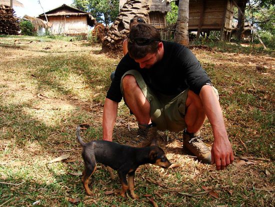 Lehma fand einen neuen, laotischen Freund! Mittlerweilen traut er sich sogar wieder asiatische Hunde anzufassen !
