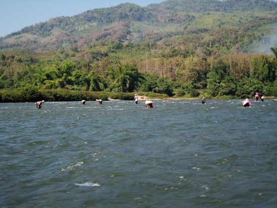 Ladies am Algensammeln