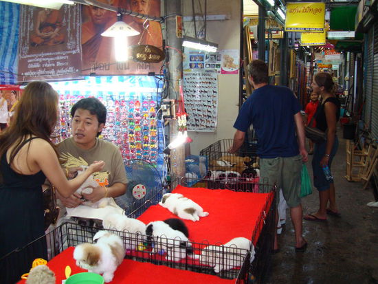 In der Kleintierabteilung