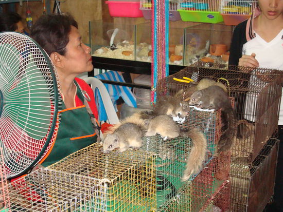 Die Nager hier waren alles andere als Gluecklich...