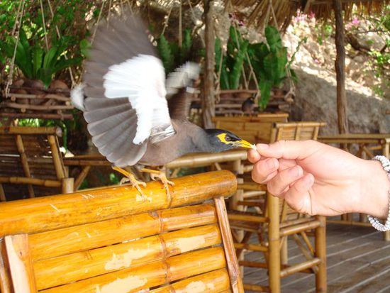 Was sagt man dazu...!