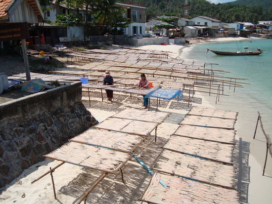 Im Fischerdoerfli sind sie fleissig am Fisch troecknen. Es hat auch dementsprechen gestunken....