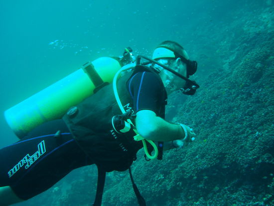 Uiuiui, was gibt es da alles zu entdecken