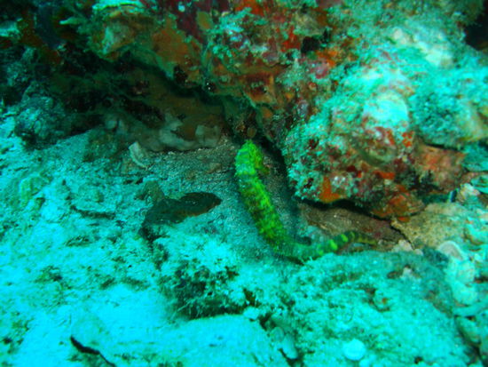 Leider wollte es nicht in die Kamera schauen