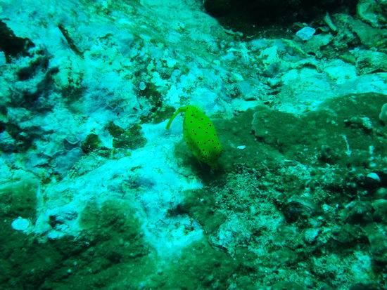 ....deswegen gleich noch einer