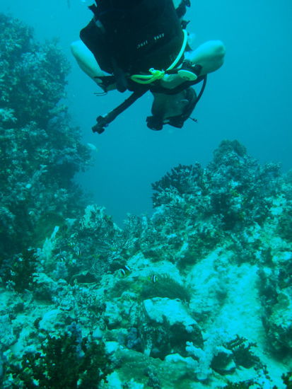 Don Giovanni am inspizieren