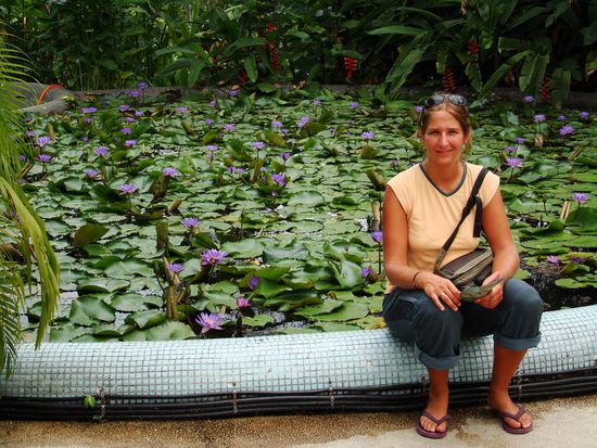 Auch Lotusblumen waren vertreten.
