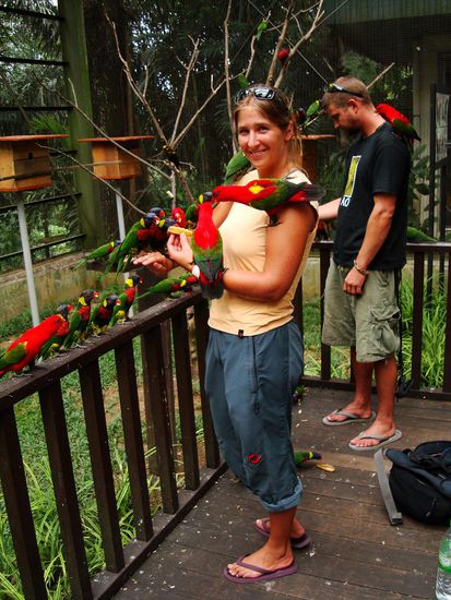 Bitte einer nach dem andern...