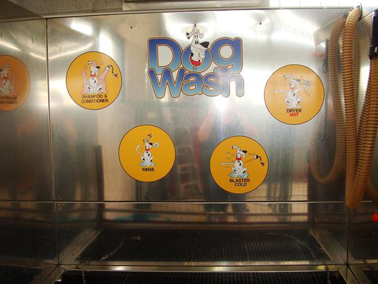 Gleich neben der Autowaschanlage kann man hier auch die Hunde waschen!