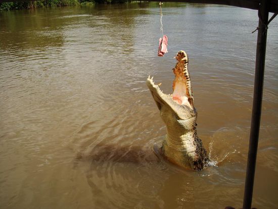 Wer hier noch die Arme ueber die Reling haelt ist selber schuld... 